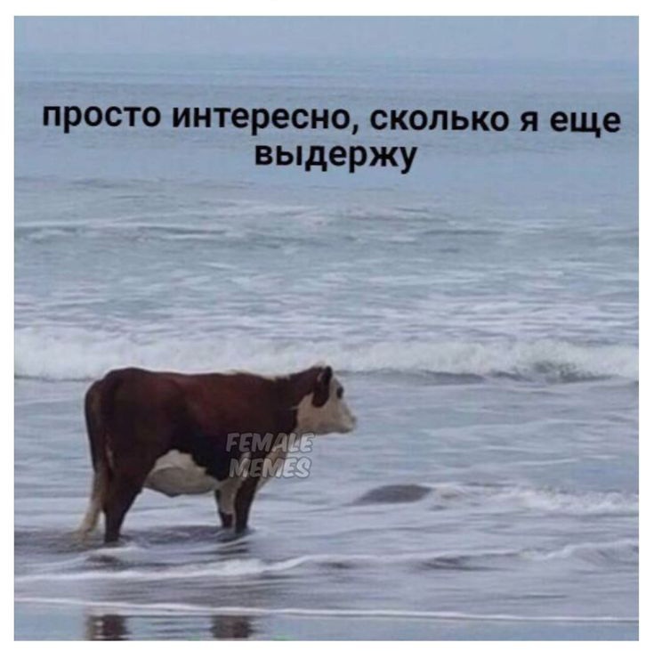 фанерное солнце улыбается до конца (в Израиле) tweet media