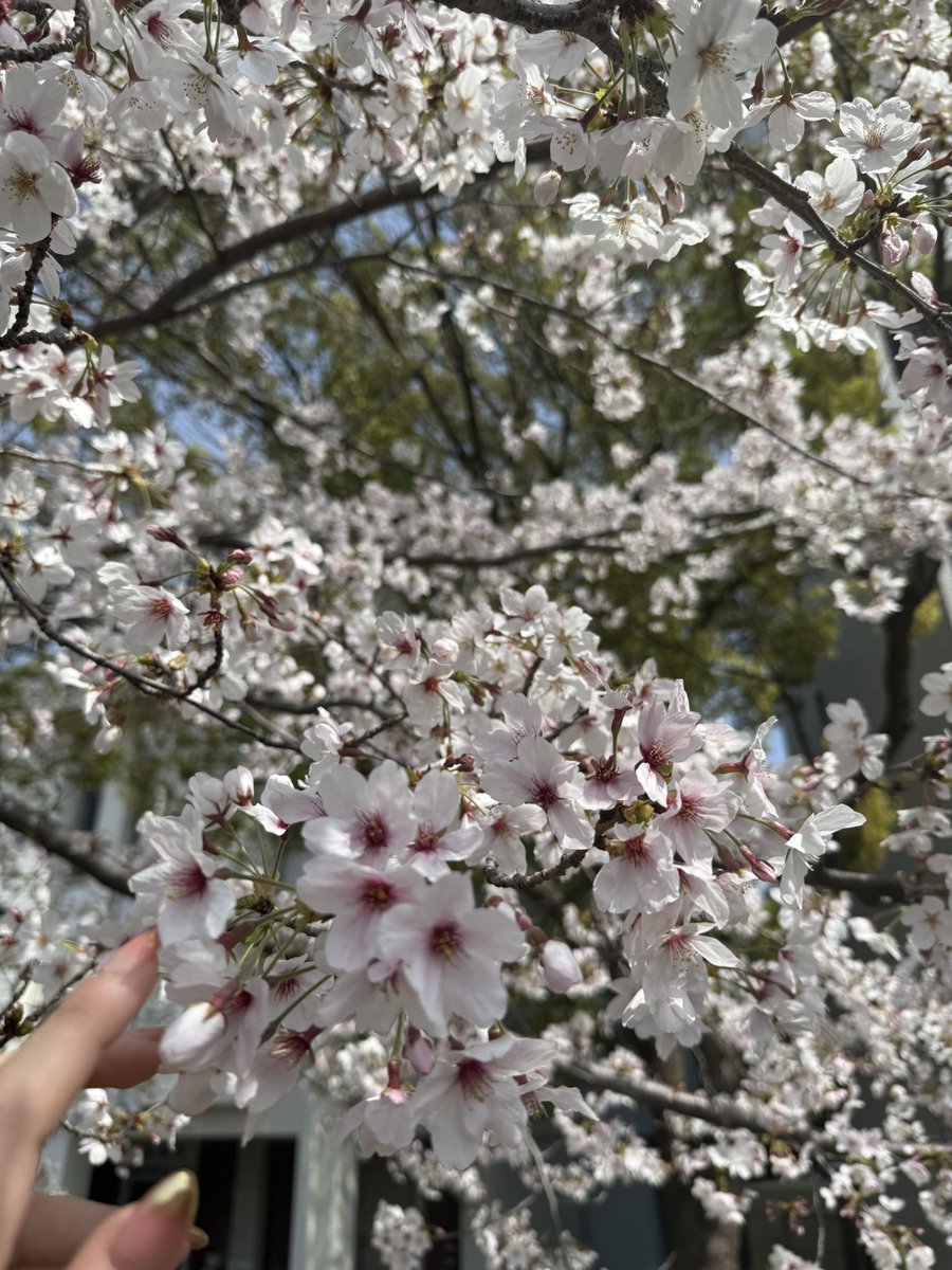 miko_5016's tweet photo. 今日からJDになりましたm(_ _)m https://t.co/8idXla4KSD