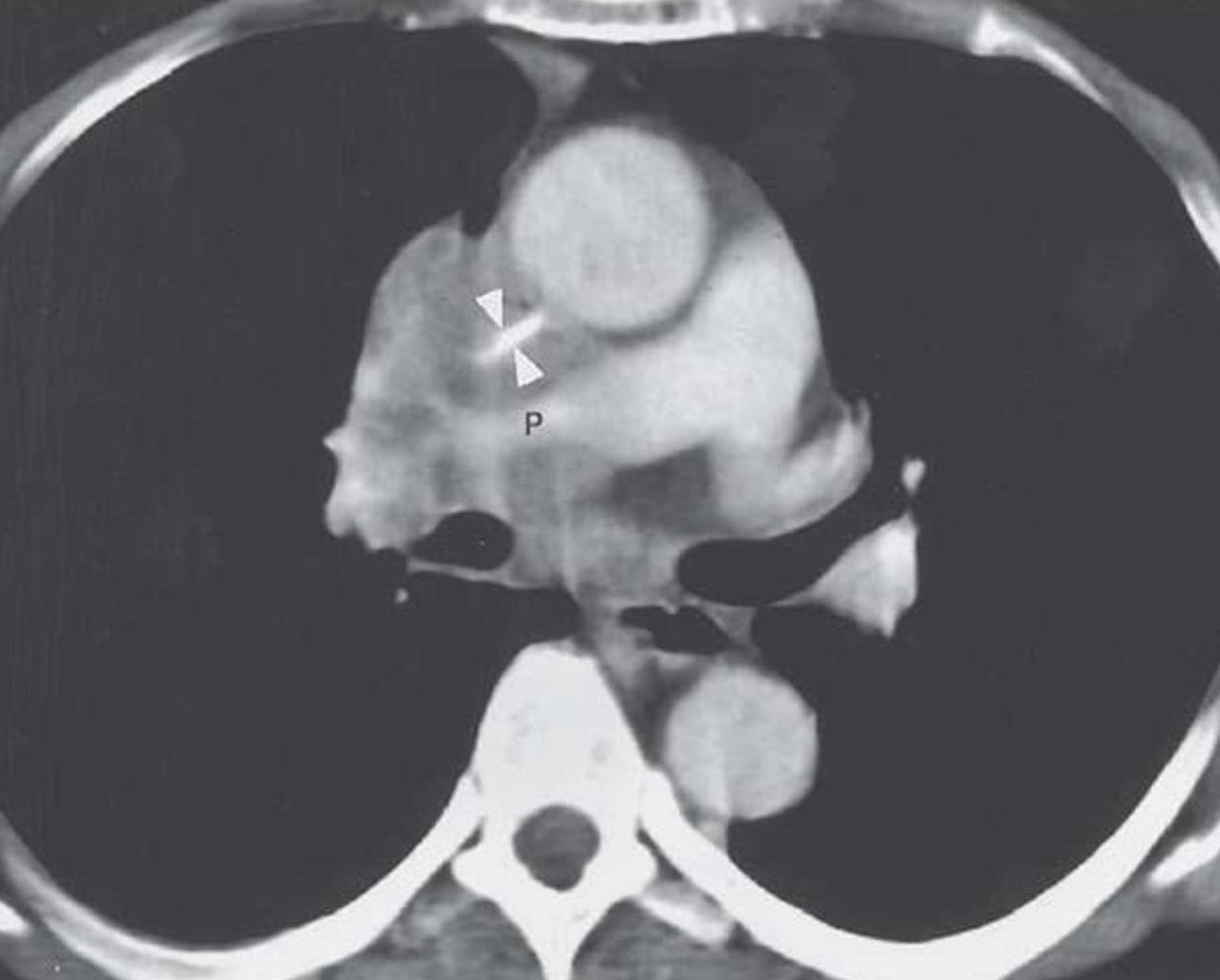 Dr.わん tweet media