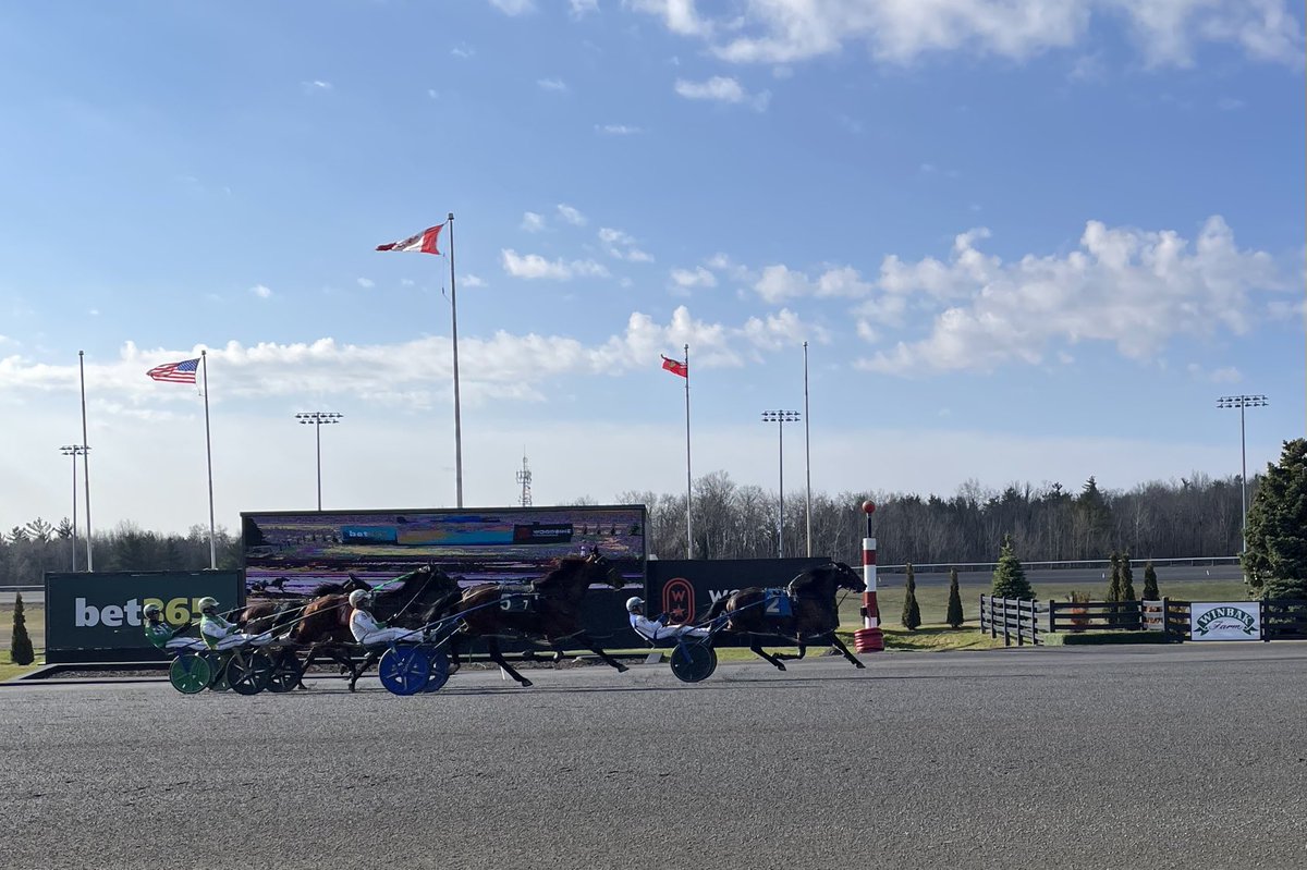 Renata Lumsden tweet media