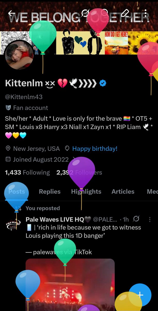 Kittenlm ×͜× 💔🕊❯❯❯❯ tweet media