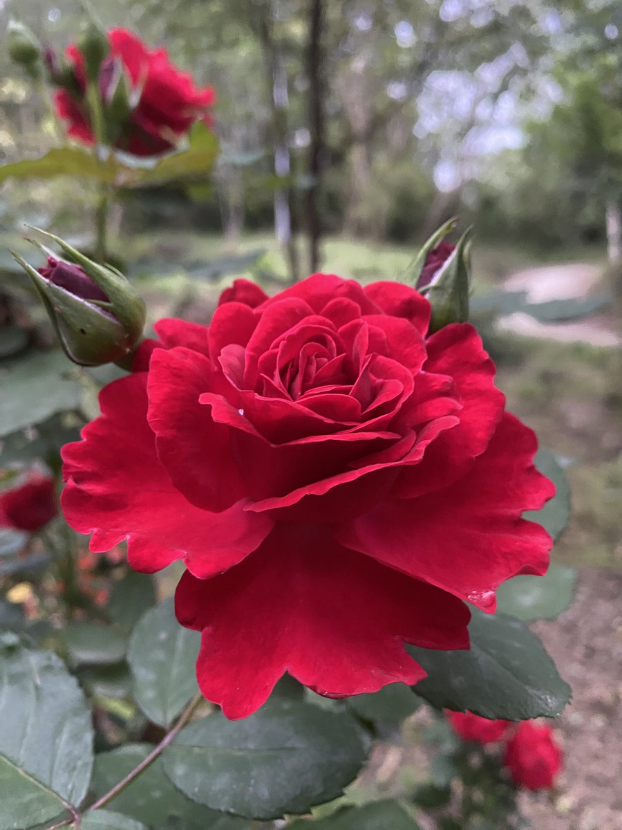 LUCKY🇮🇳 tweet media