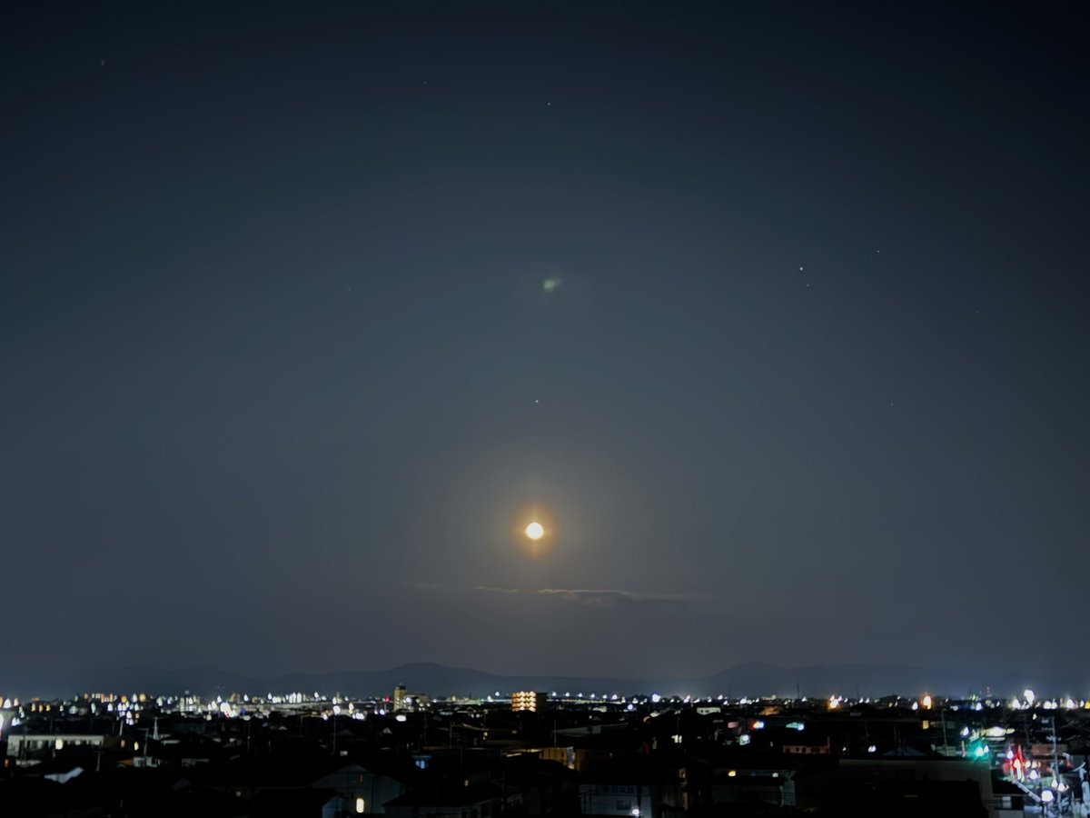 さくらフーズ tweet media