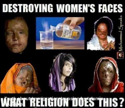 Canadian Troll tweet media