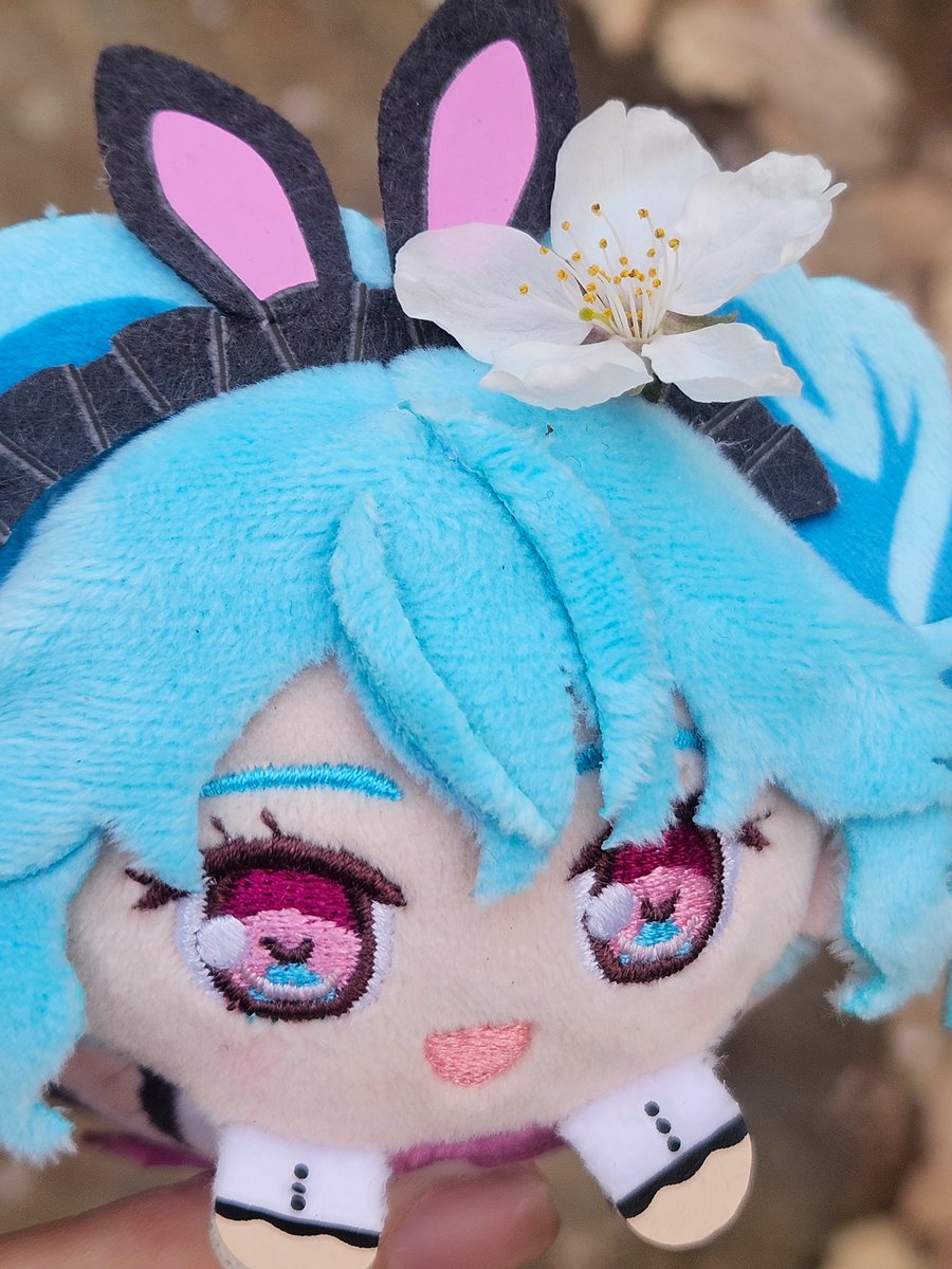 오레몬 tweet media