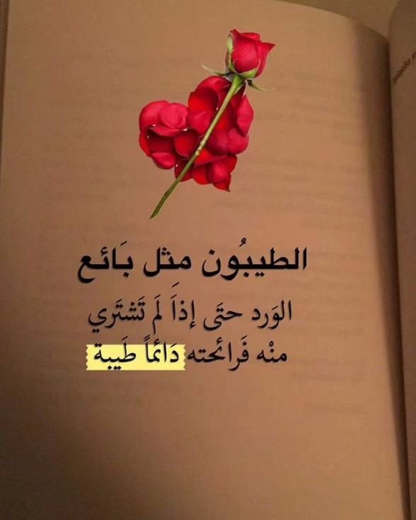 حــــنان💛 tweet media