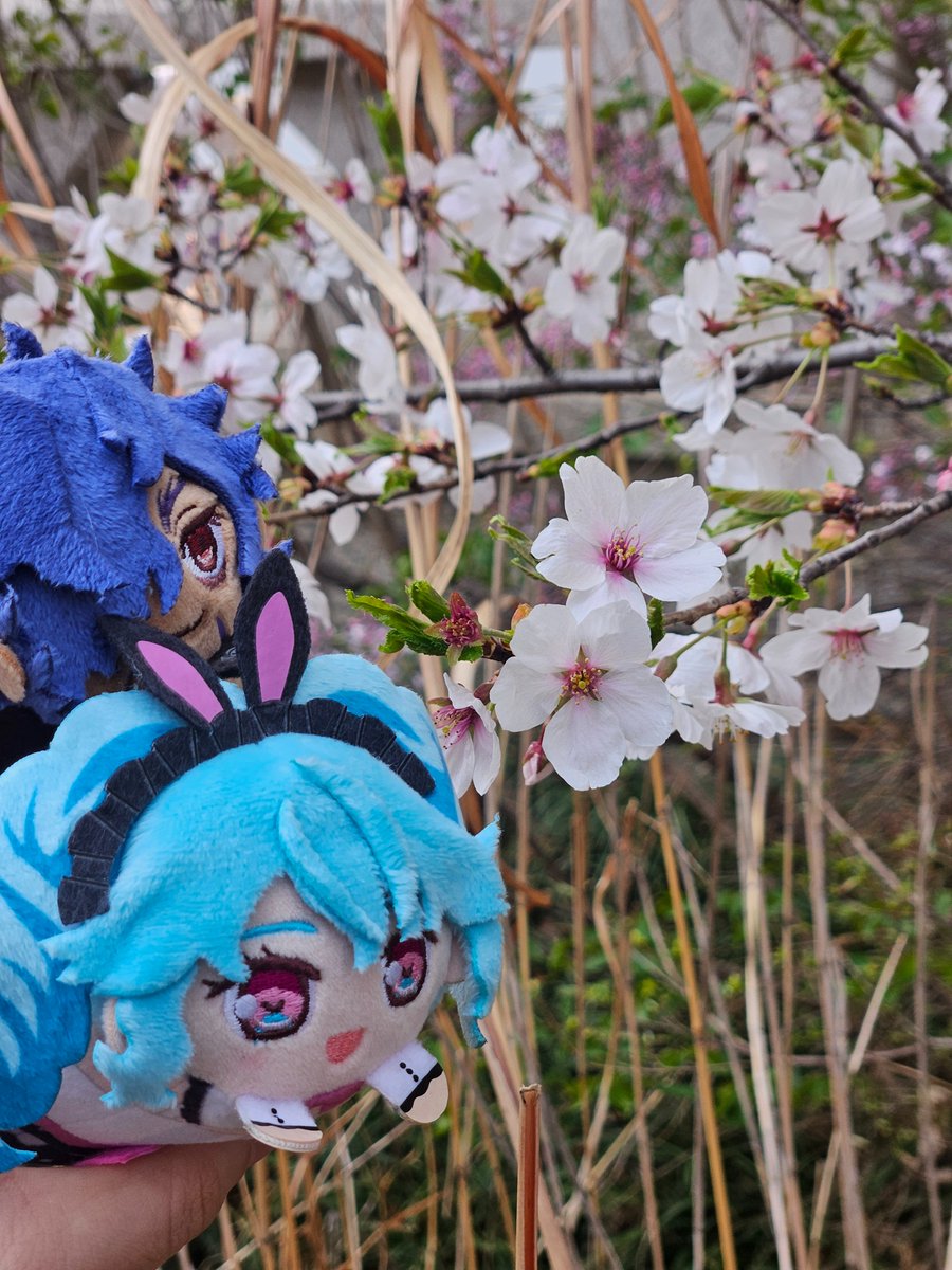 오레몬 tweet media