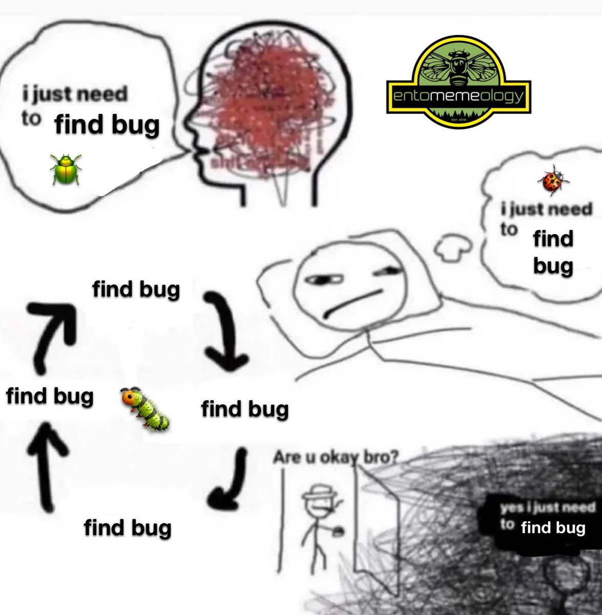 Entomemeology tweet media