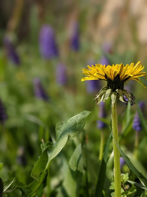 Jen Ellis tweet media