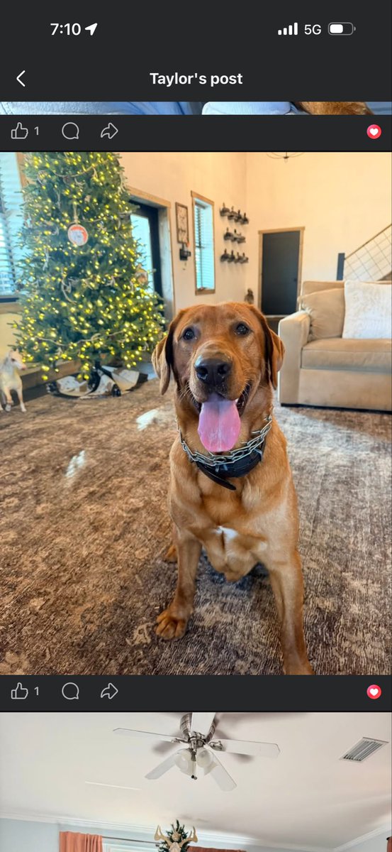 CoryMillsisaFRAUD tweet media