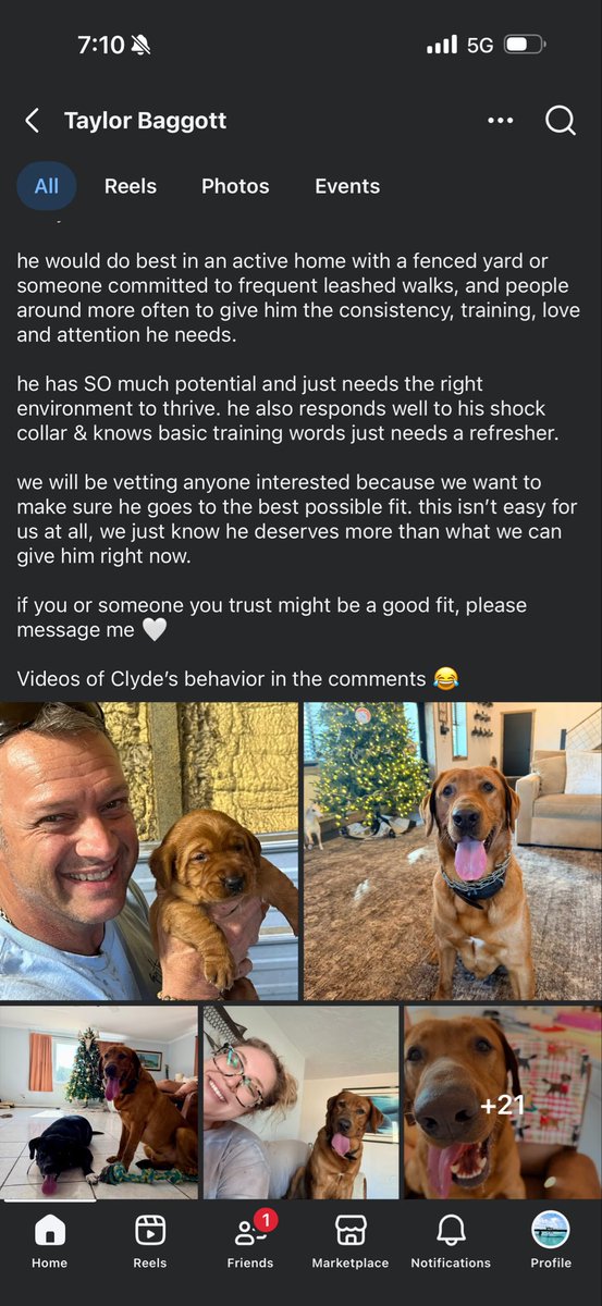 CoryMillsisaFRAUD tweet media