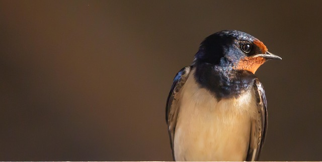 Charles Mathews tweet media