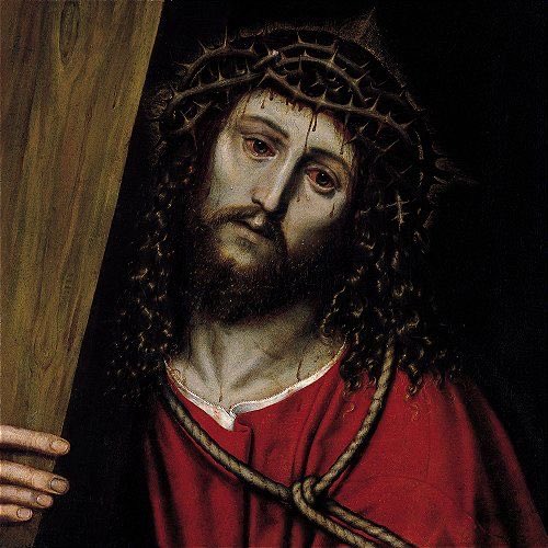 “Jesus, minha esperança e meu amor, para não me perderdes, quisestes perder a vida.”

— Santo Afonso Maria de Ligório