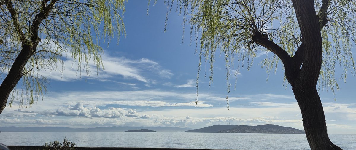 Clemantine tweet media