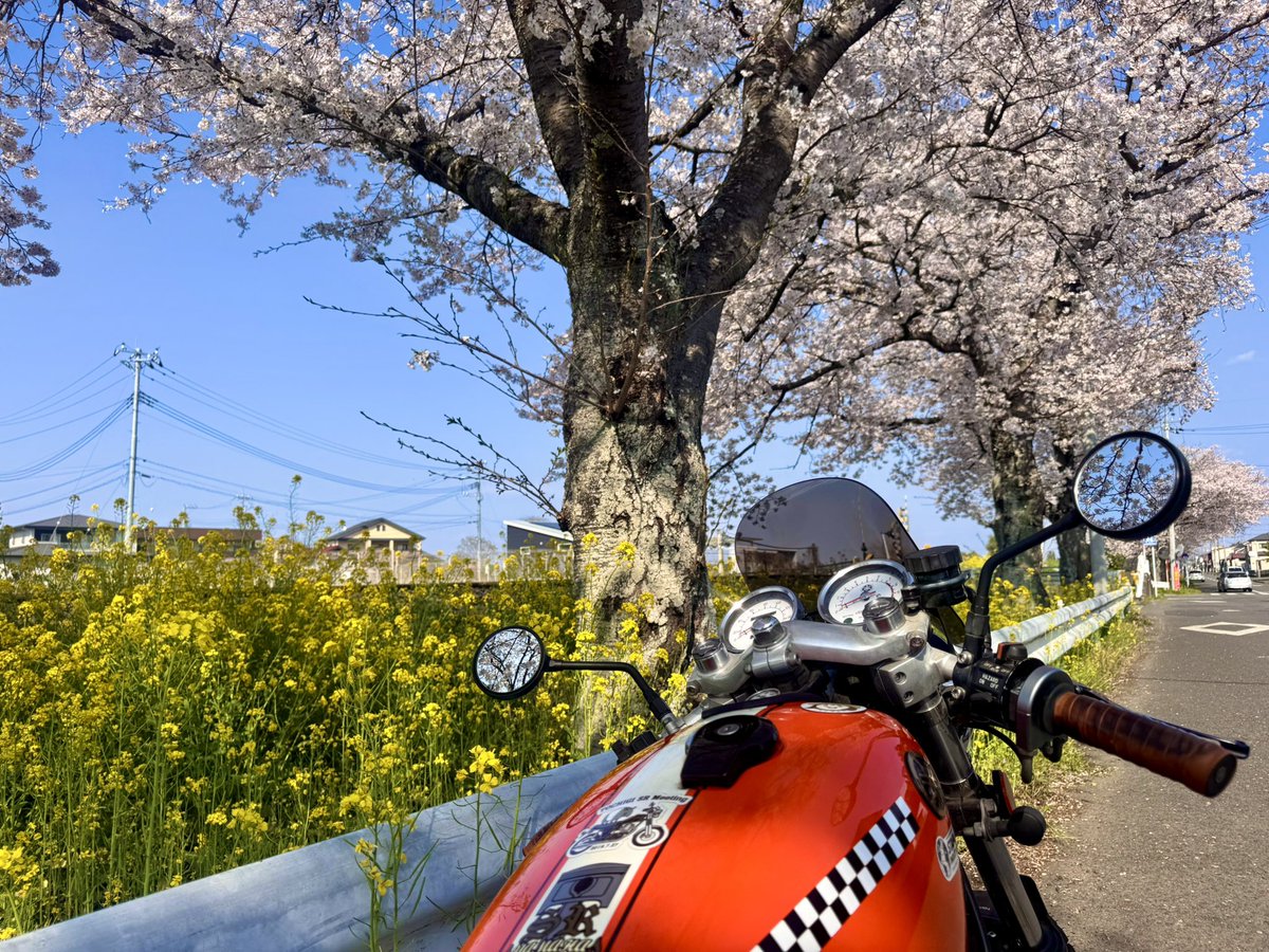 Hi-decazu【official】 tweet media