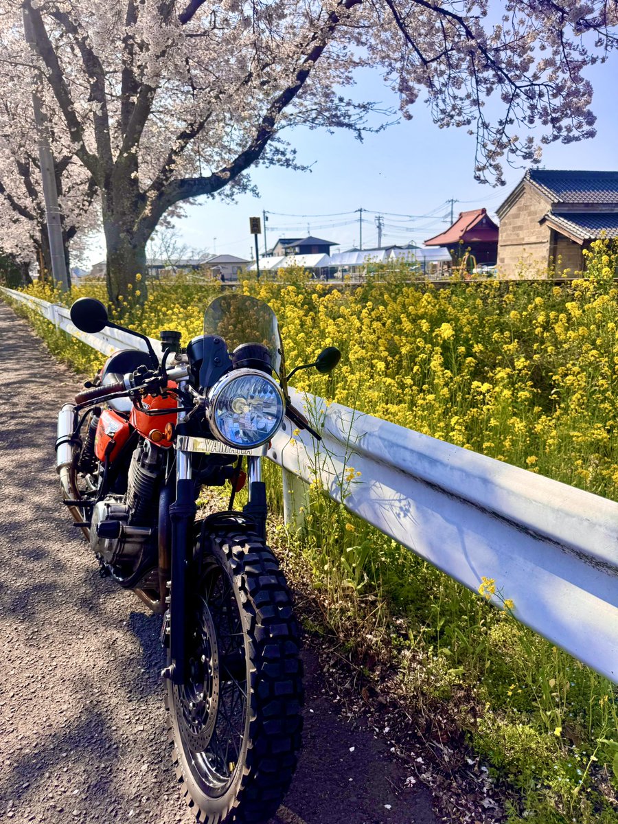 Hi-decazu【official】 tweet media