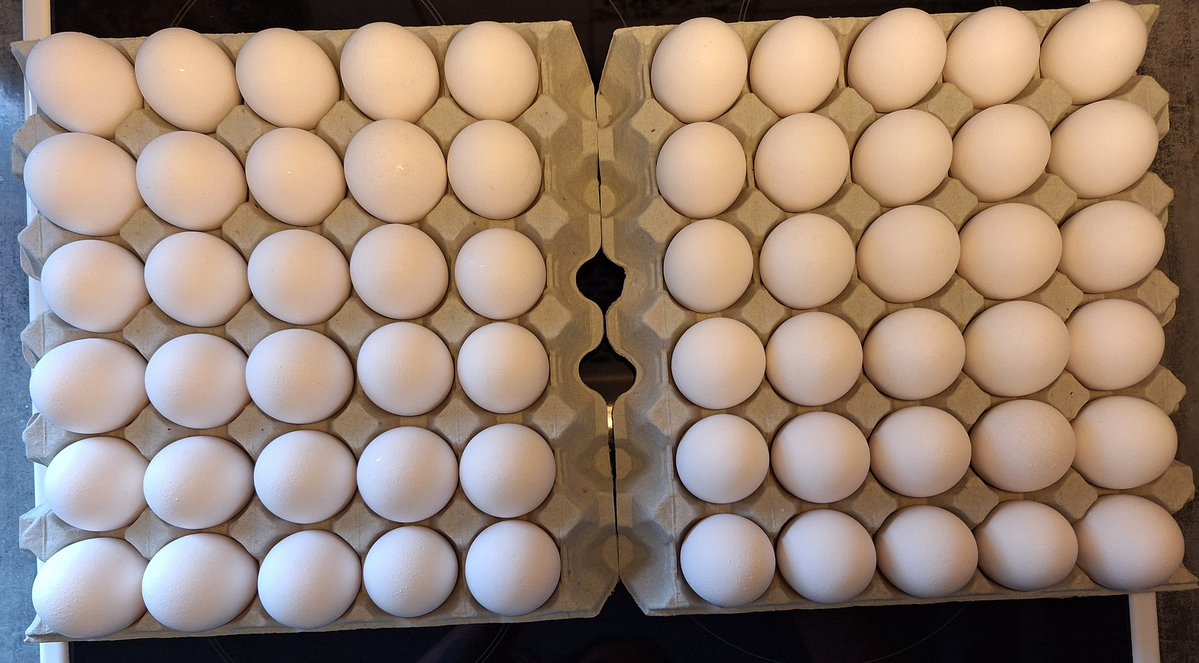 HegeKHult tweet media