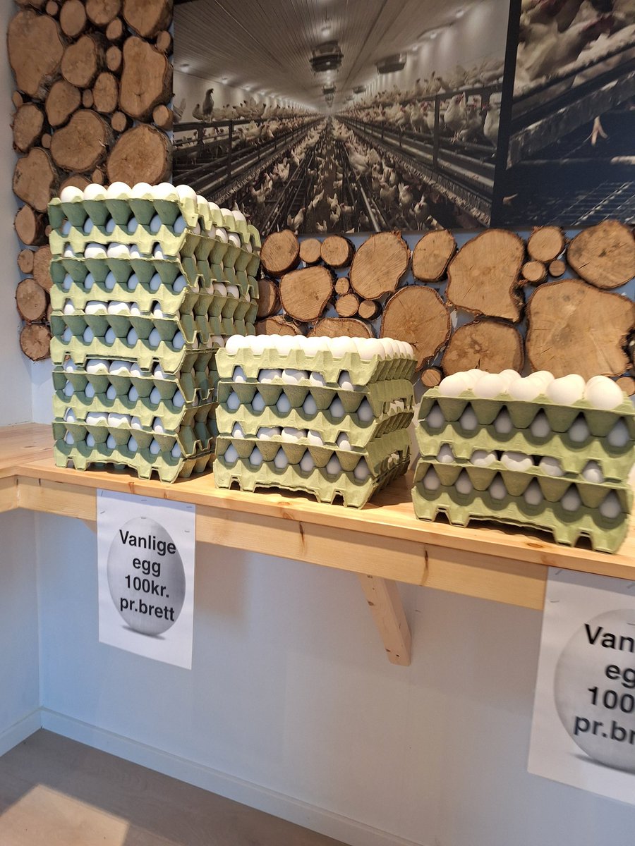 HegeKHult tweet media