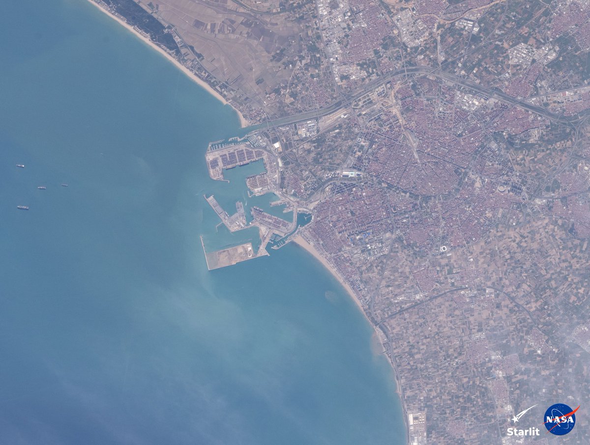 Proyecto Starlit tweet media