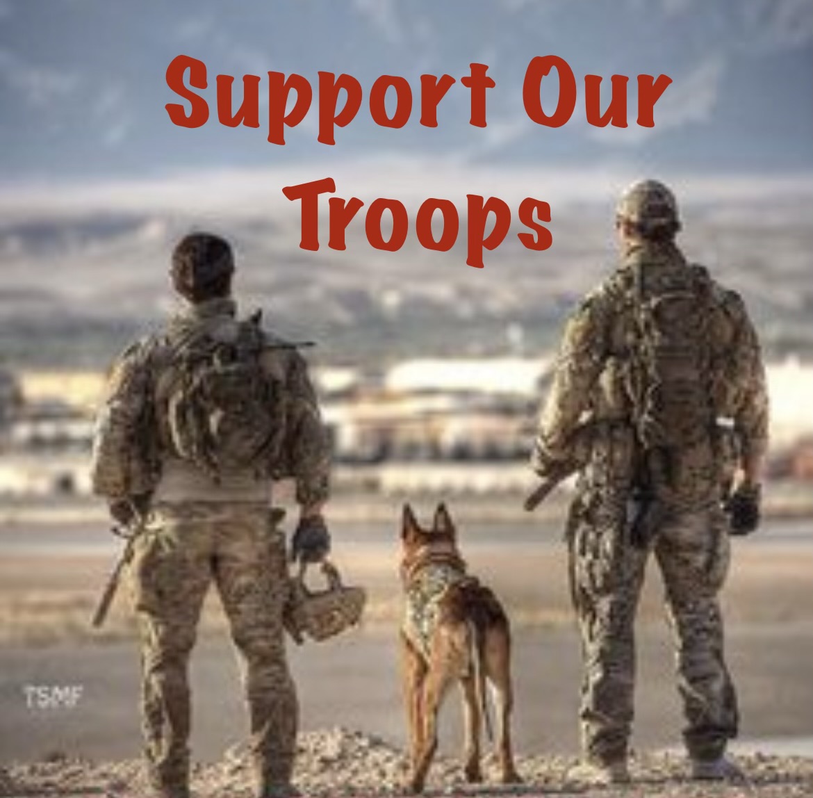 Denise 🇺🇸 tweet media