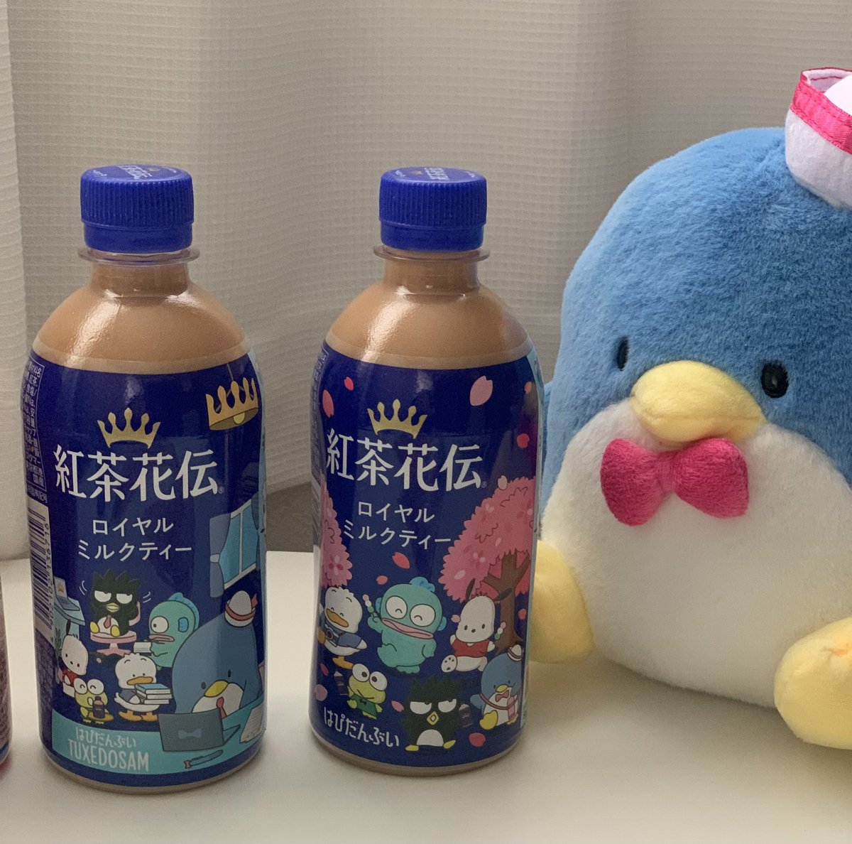 まちょこ 마초코 tweet media