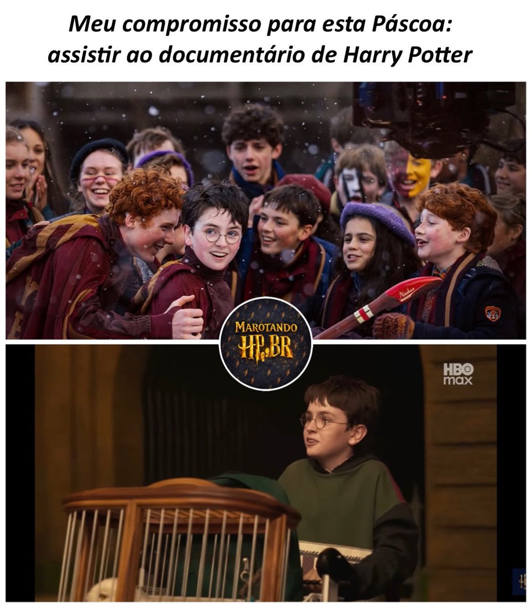Marotando HP Brasil (@marotandohp) on Twitter photo 