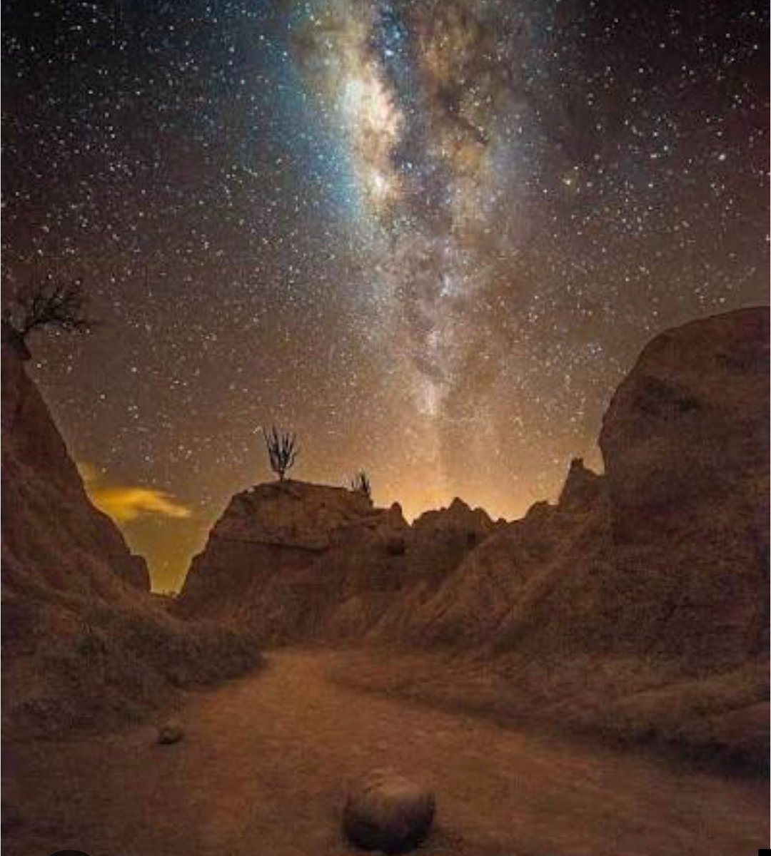 Alejo Montoya tweet media