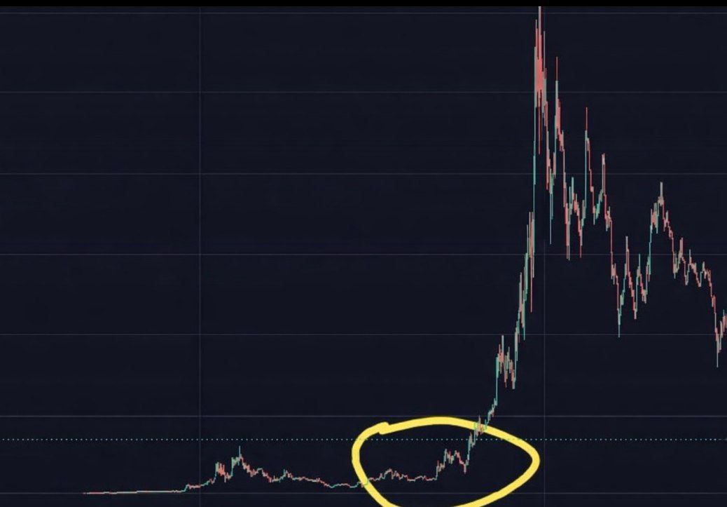 Vibes 🖤 tweet media