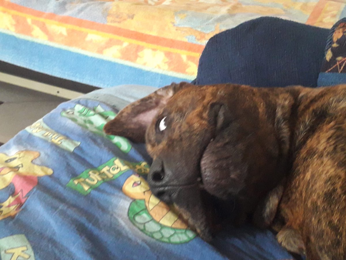 Andrea Vignali tweet media