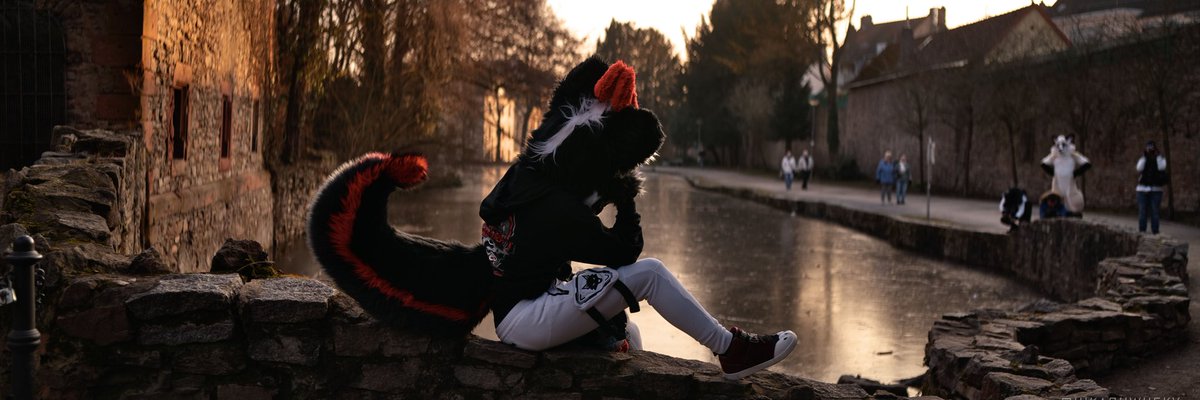 RoduskB's tweet photo. #FursuitFriday and New banner!

📸 @HikaruWusky https://t.co/JemKUChevp