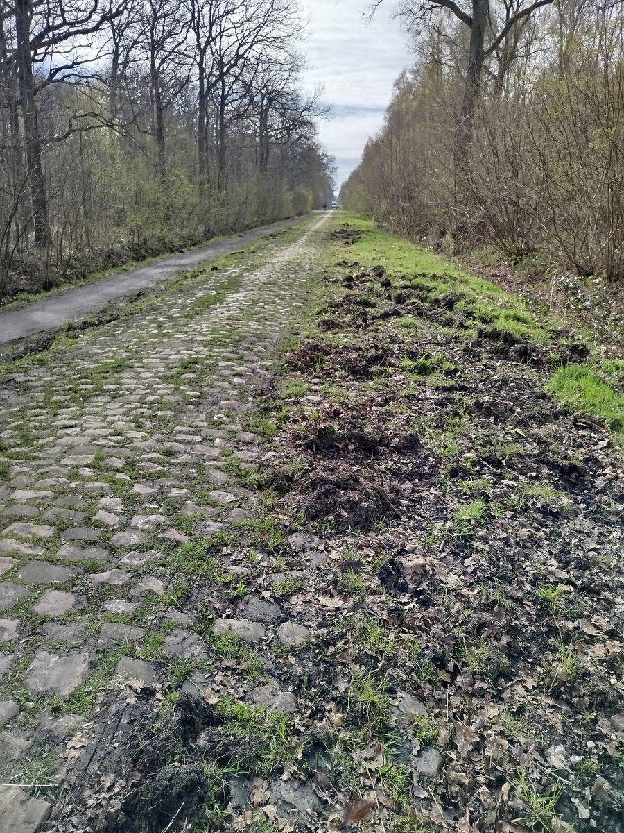 Gouvenou tweet media