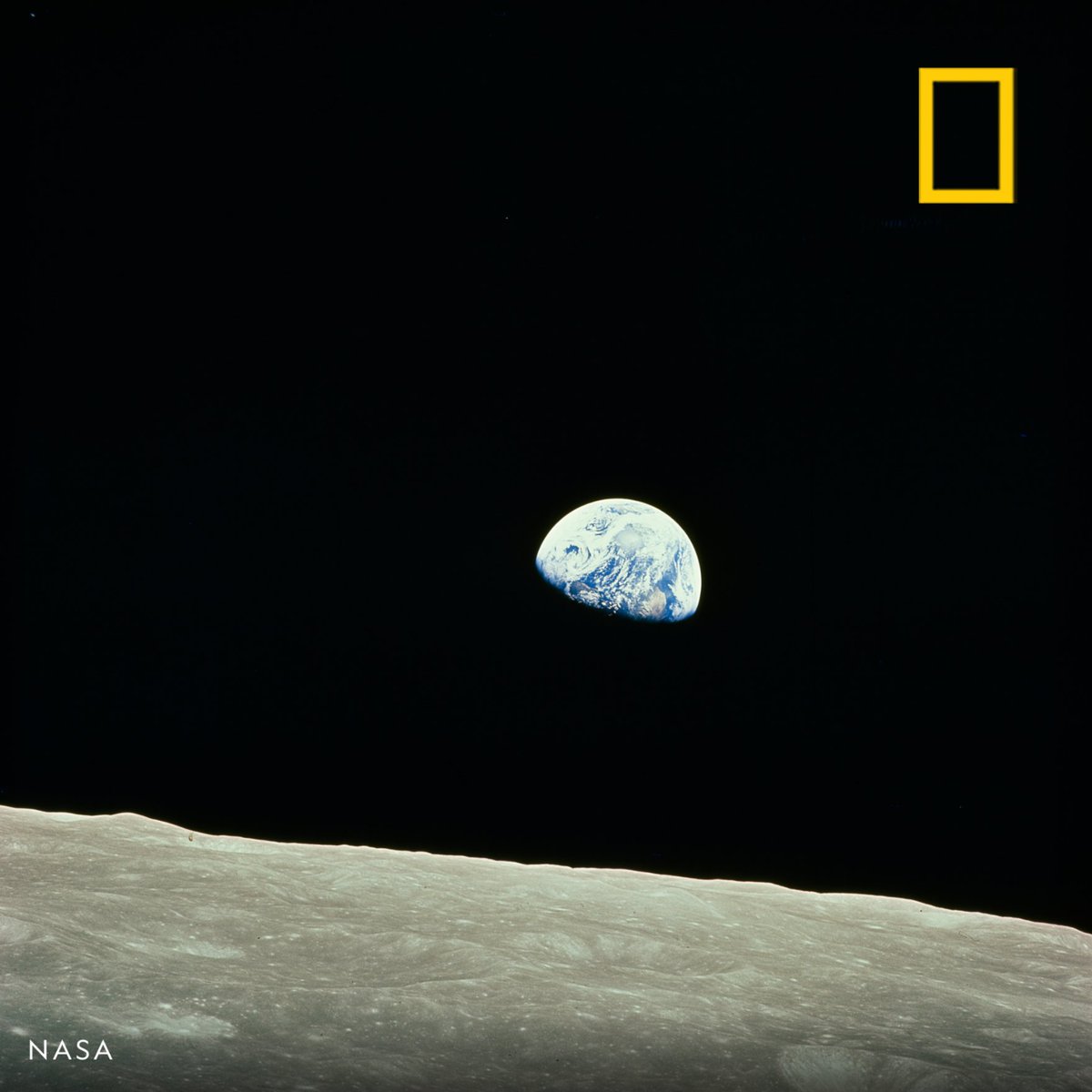 National Geographic tweet media