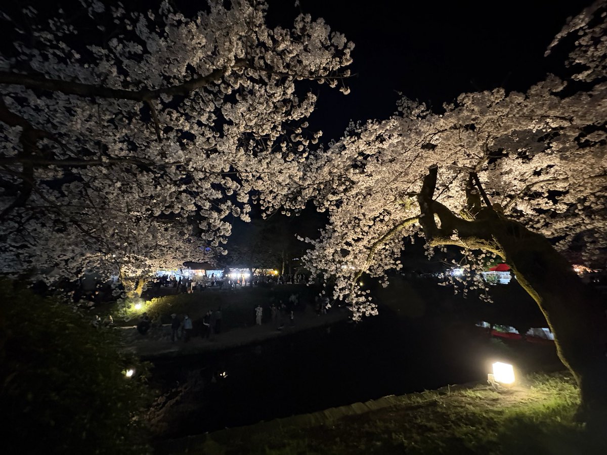 平和島のサウナー tweet media