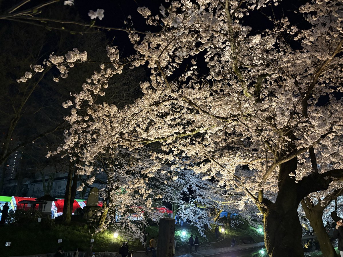 平和島のサウナー tweet media