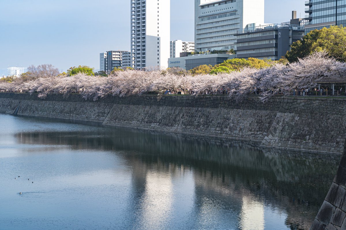 escapetrip_jp's tweet photo. 大阪もいいな🌸 https://t.co/4PhaNn3YzE