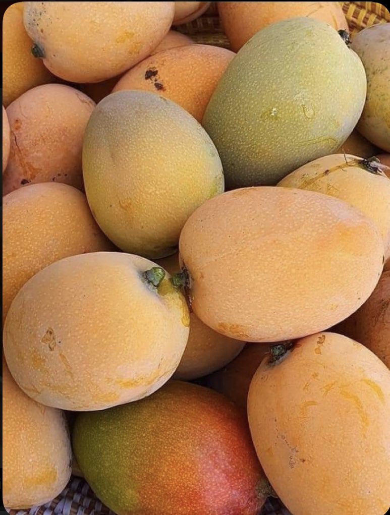 Asụsụ Igbo tweet media