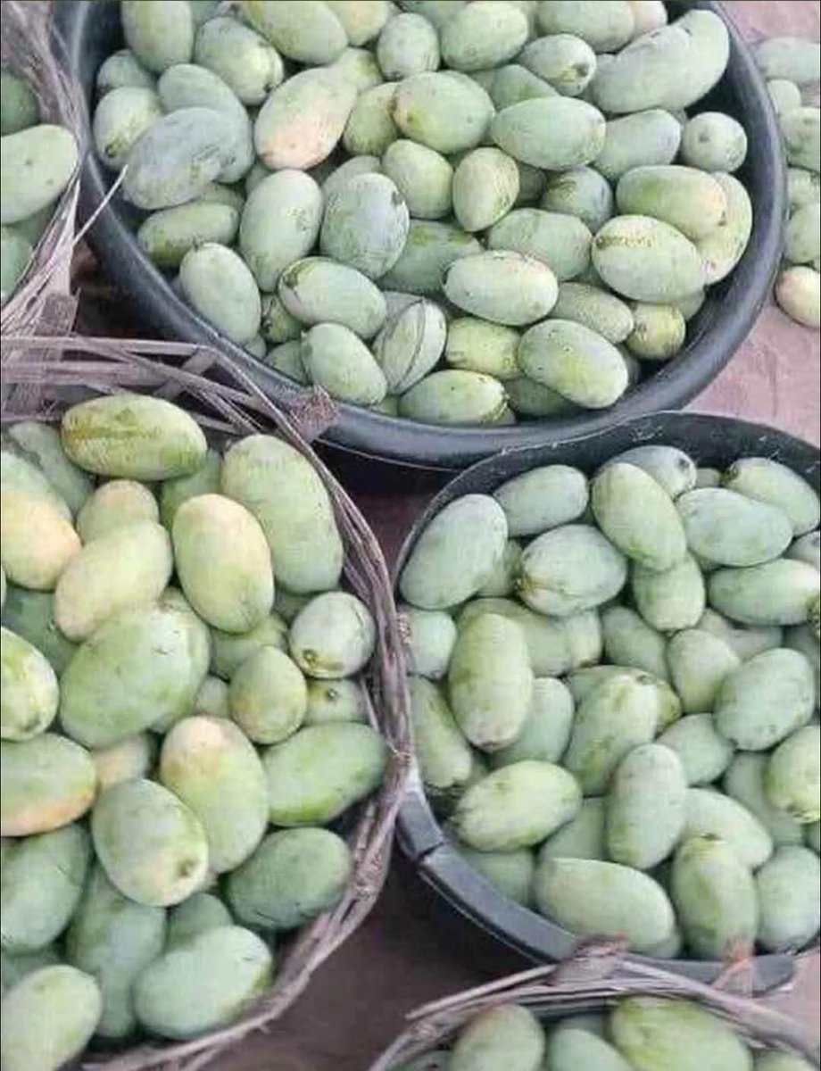 Asụsụ Igbo tweet media