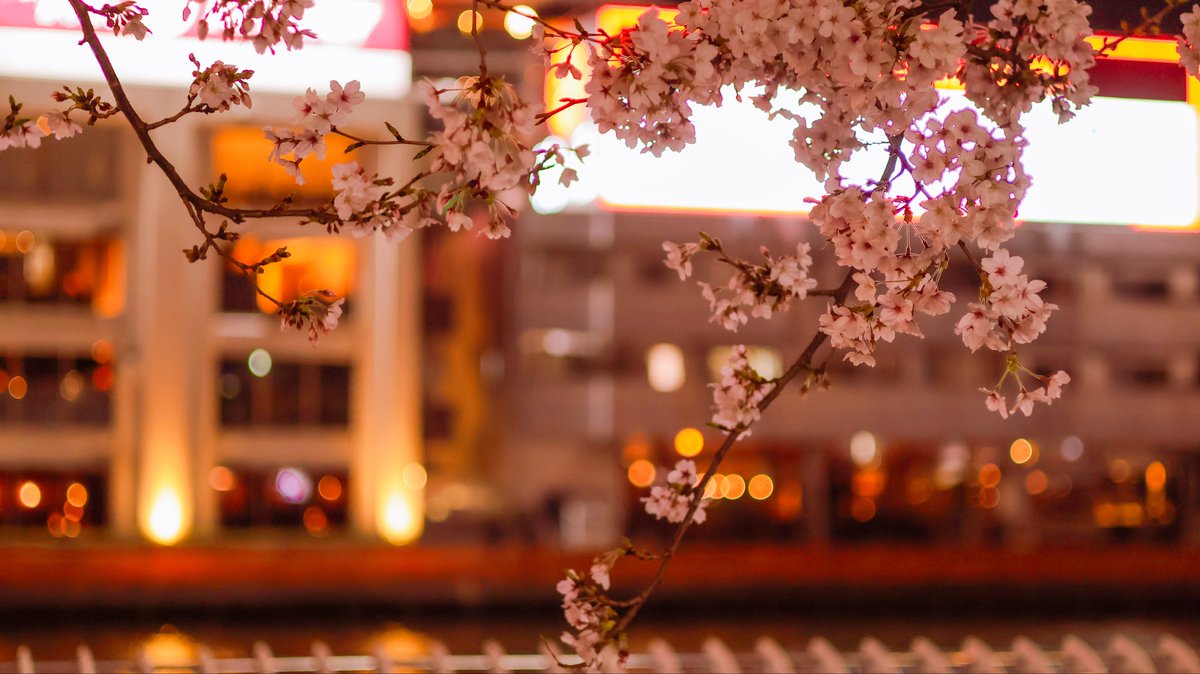 みつむら!!! tweet media