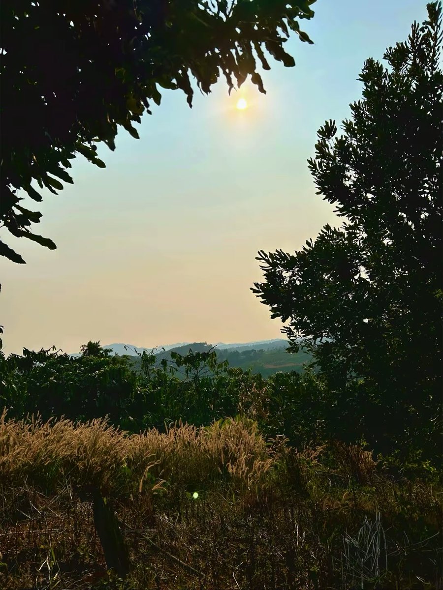 Hoang02368's tweet photo. 🌿SẼ CÓ NƠI "vừa đủ" CHO BẠN BÌNH YÊN!
SẼ CÓ NGƯỜI "vừa đủ" CHO BẠN TỰA ĐẦU! https://t.co/yc1TnkiXyL