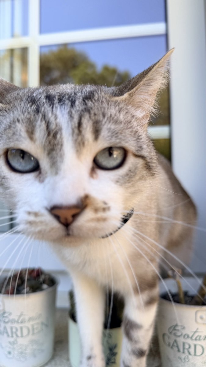 Oscar Parga tweet media