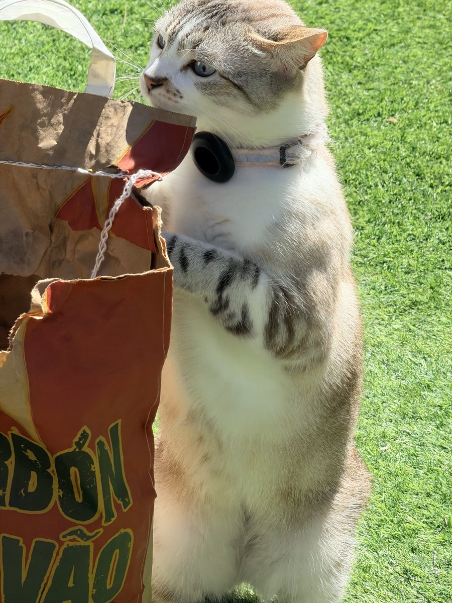 Oscar Parga tweet media