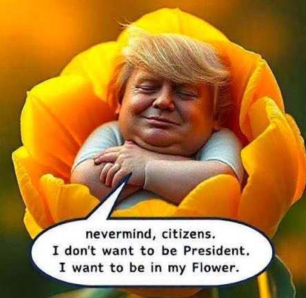 NukeBushwick's tweet image. #FridayMood