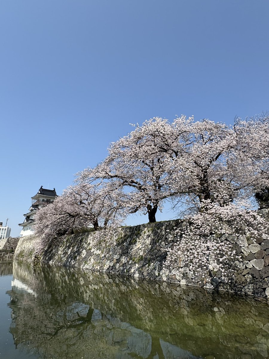 平和島のサウナー tweet media