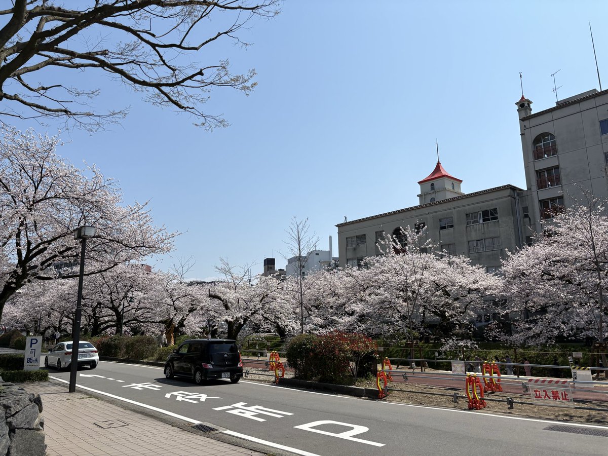 平和島のサウナー tweet media