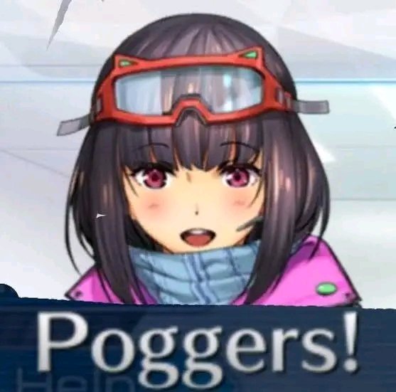 ROFLguard ✝️🗡️🏰 🇺🇲 tweet media