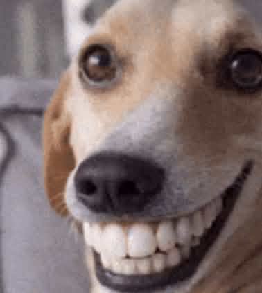 Nighty20 tweet media