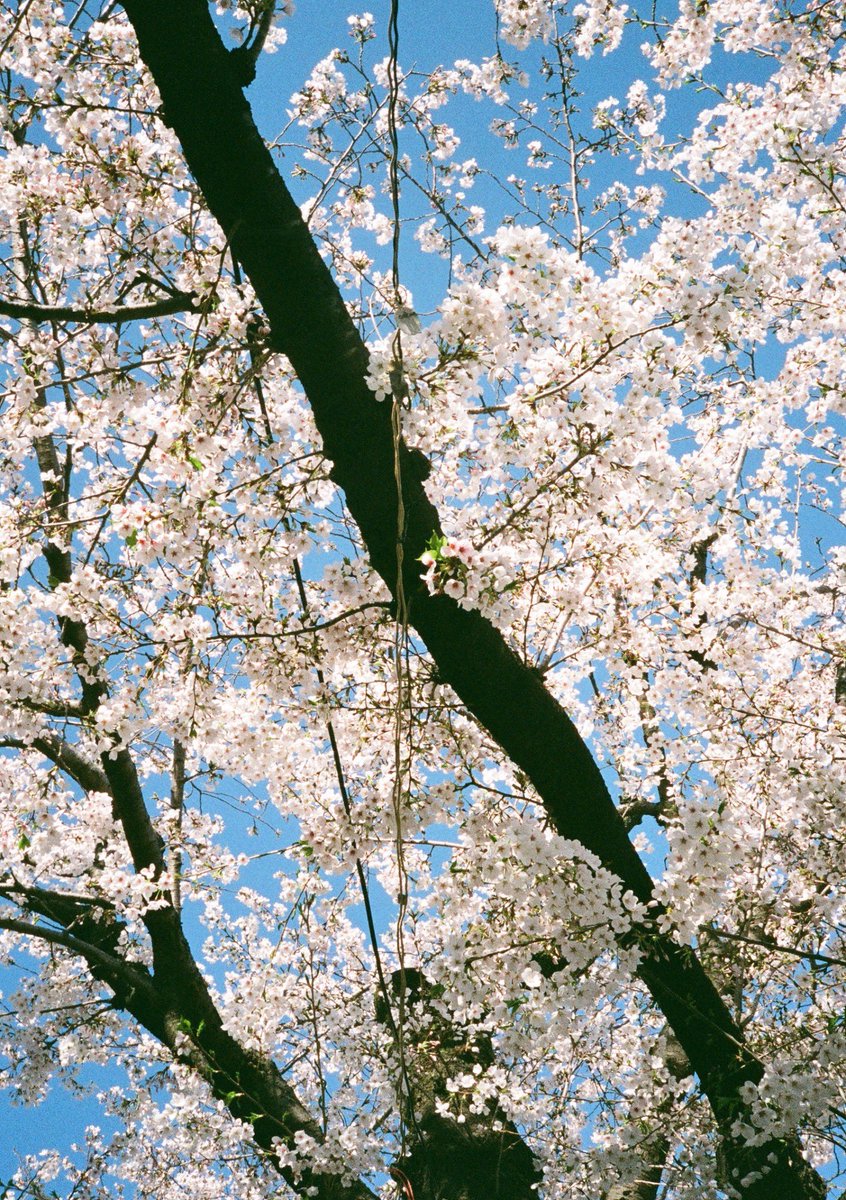 鬱木ゆうと tweet media