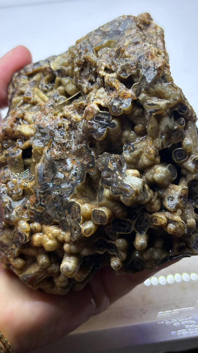 Daktilock tweet media