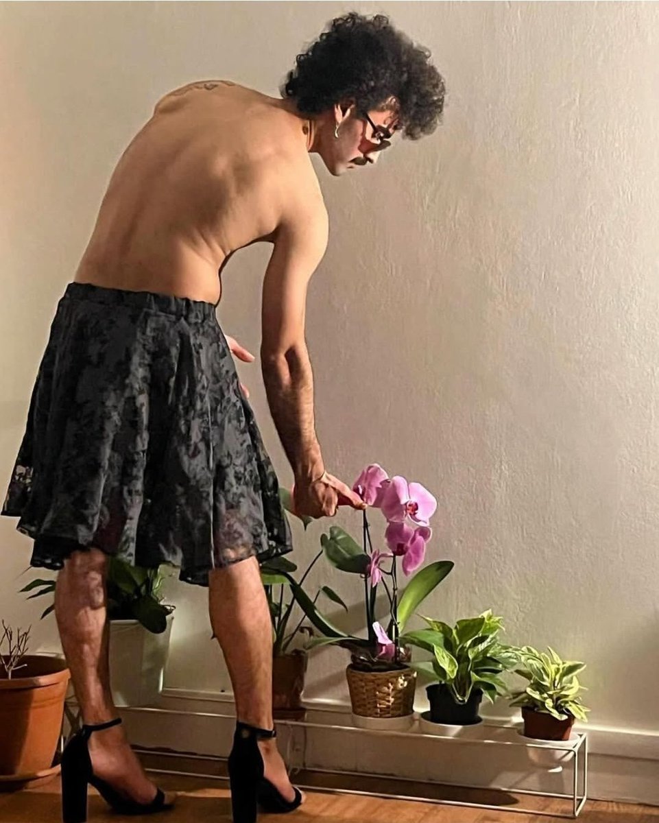 سعید tweet media