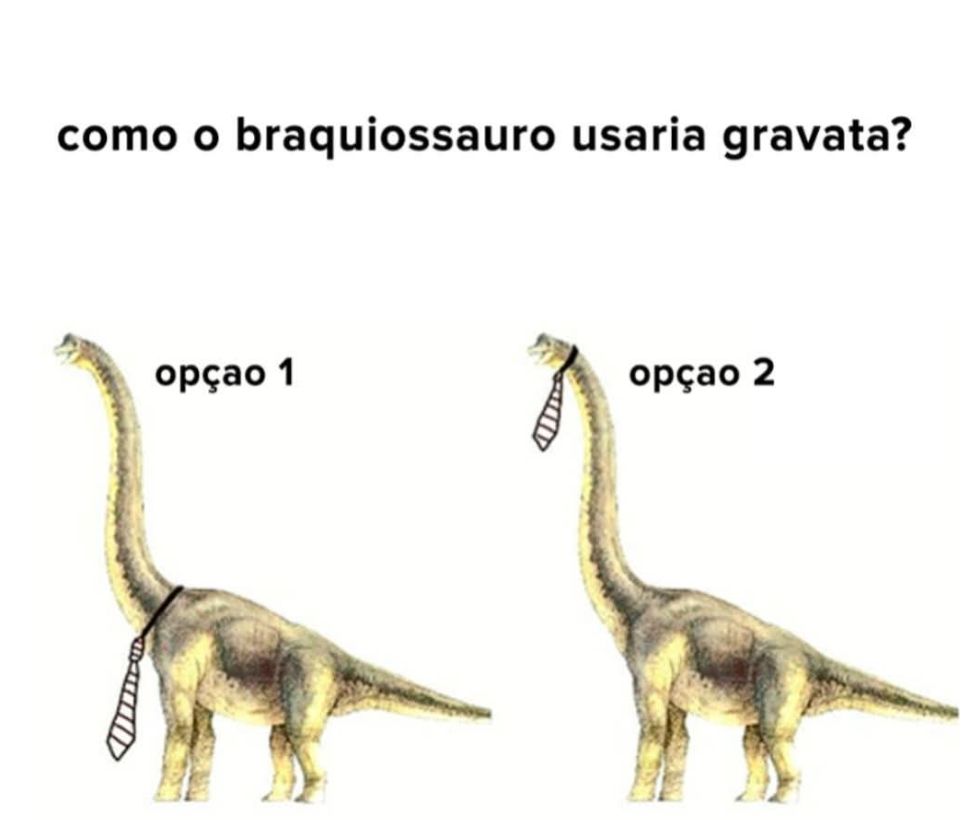 Van Grog tweet media